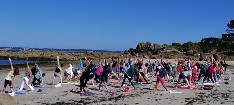 Enquête sur la pratique du yoga en France