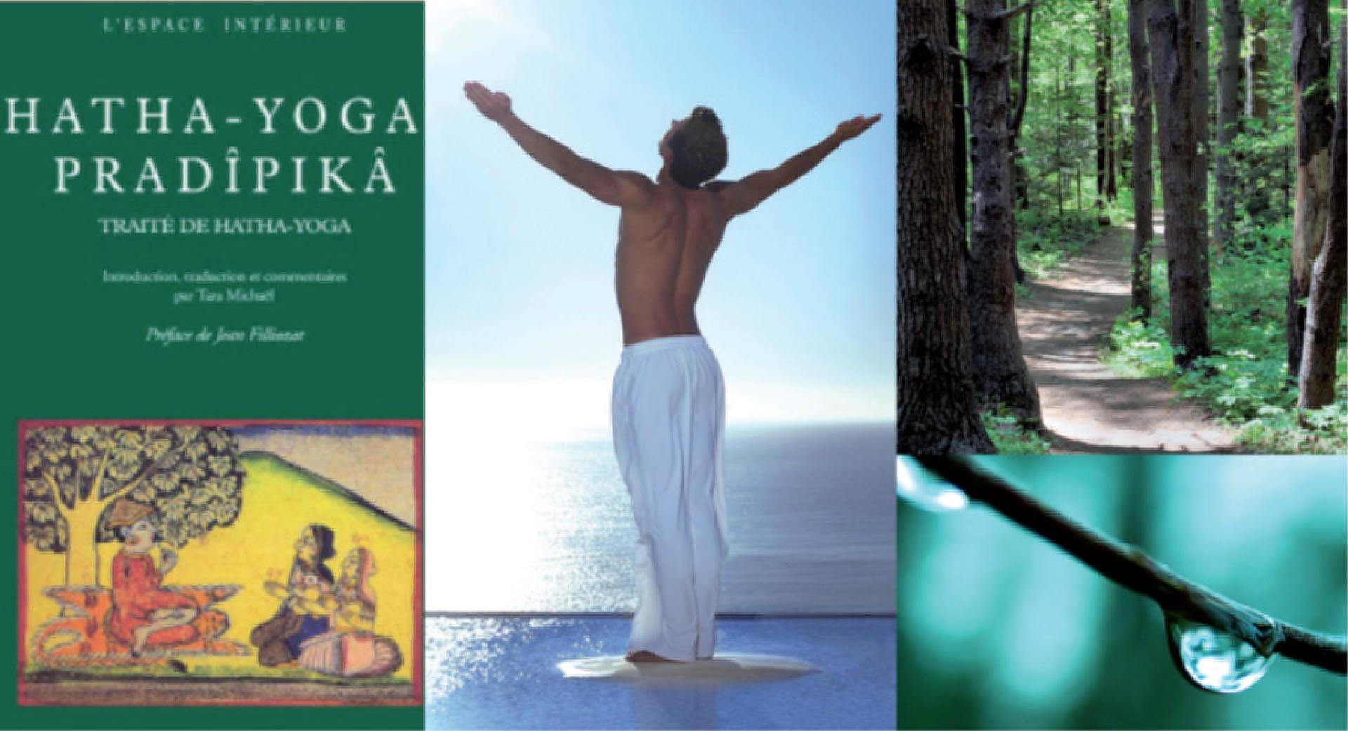 Ecoles françaises de yoga d’Aix et de Lyon : les inscriptions sont ouvertes